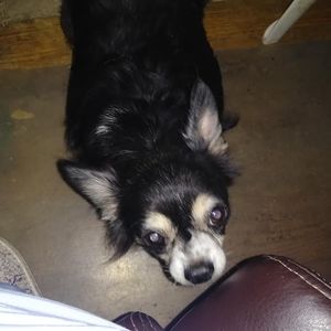 Meet your Posher, Mindy